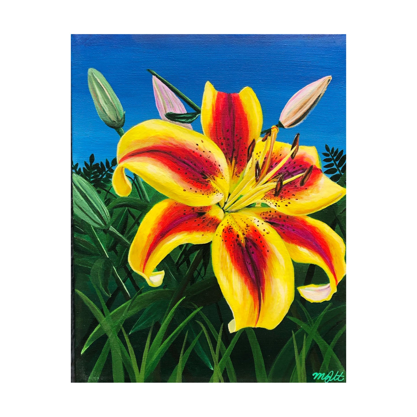 Yellow Lilly