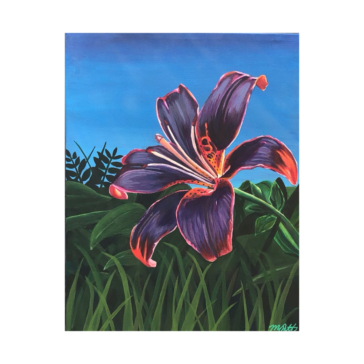 Purple Lilly